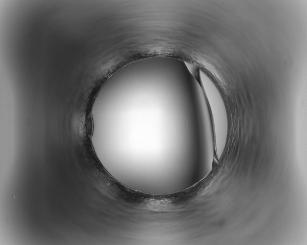 X0000093440403200710261044