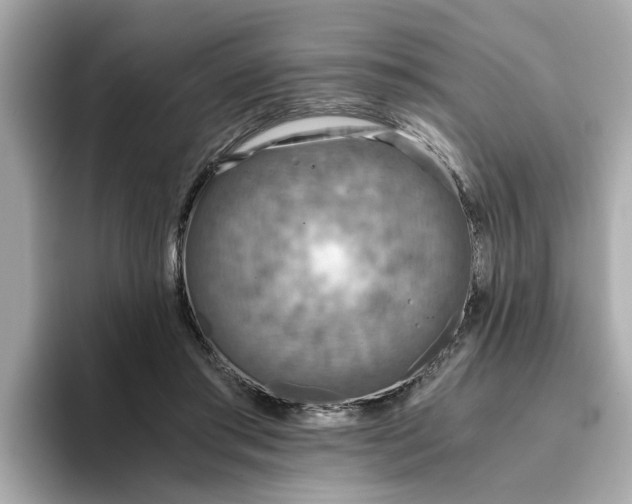 X0000093440405200710261044