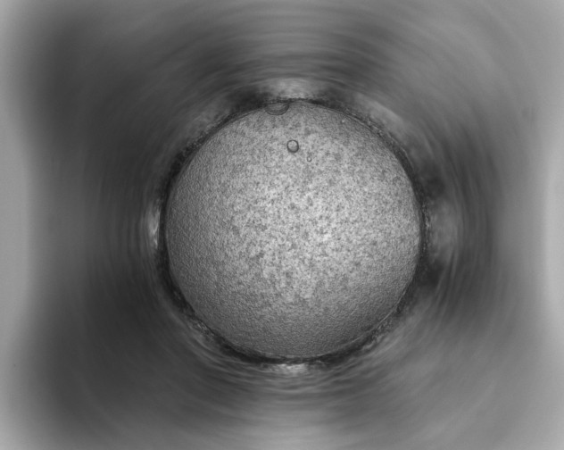 X0000093440406200710261044