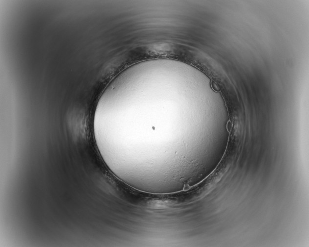 X0000093440408200710261044