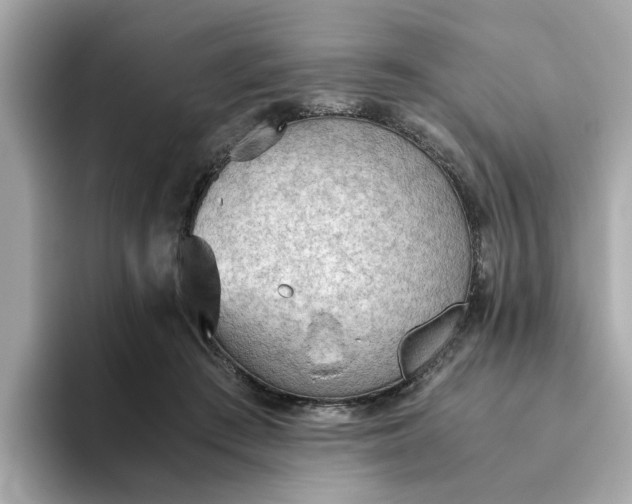 X0000093440409200710261044