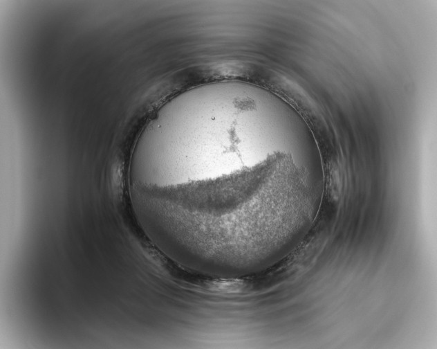 X0000093440410200710261044