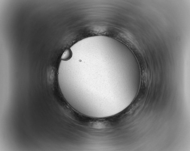 X0000093440412200710261044