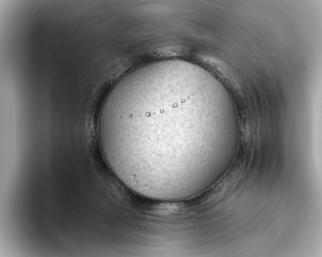 X0000093440418200710261044