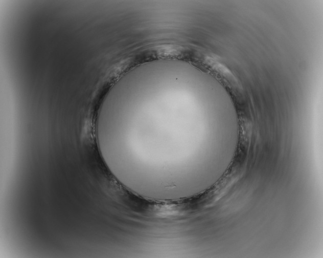 X0000093440419200710261044