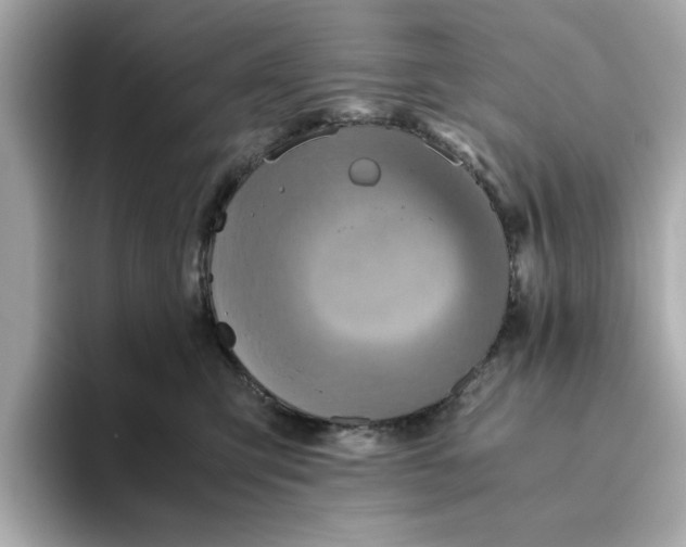 X0000093440423200710261044