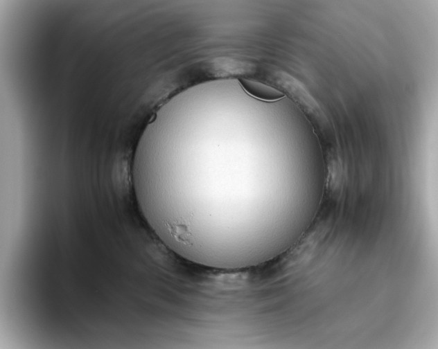 X0000093440426200710261044