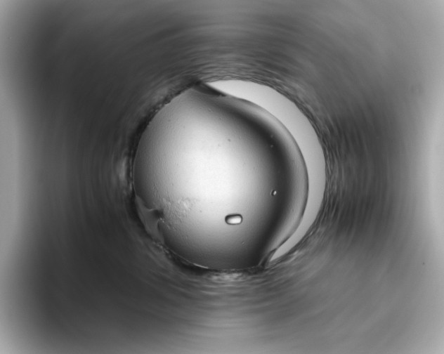 X0000093440428200710261044