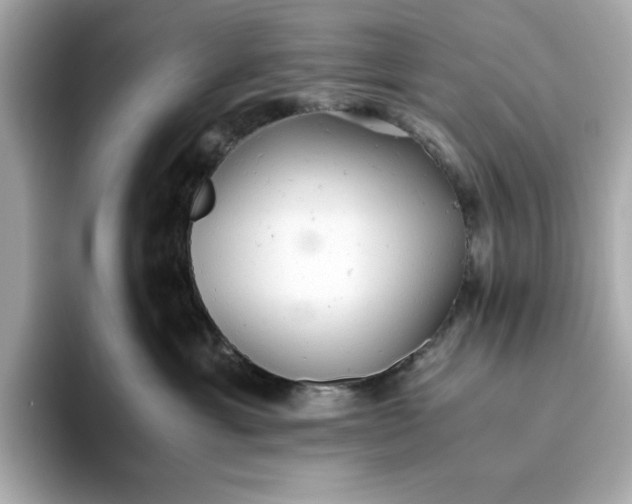 X0000093440429200710261044