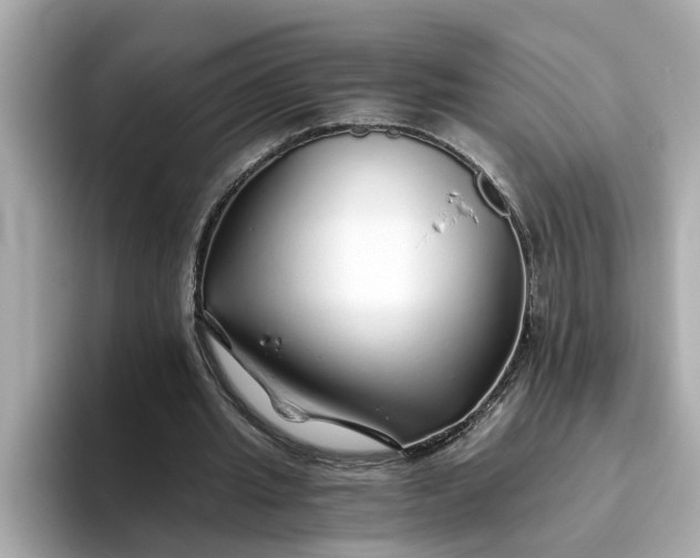 X0000093440437200710261043