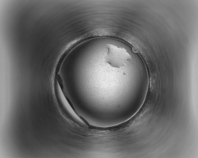 X0000093440438200710261043