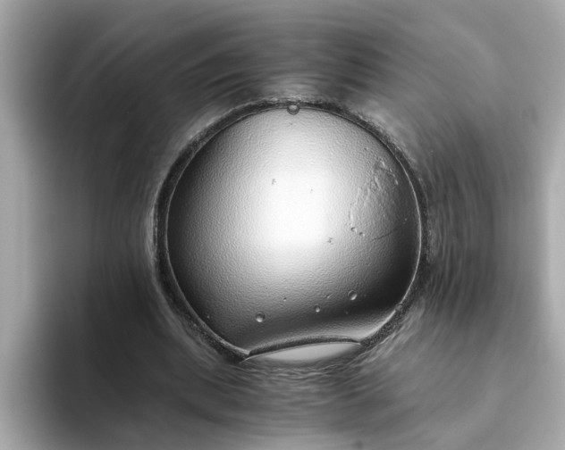 X0000093440439200710261043