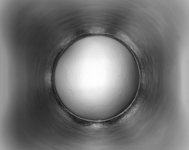 X0000093440441200710261043