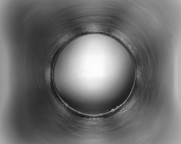 X0000093440445200710261043