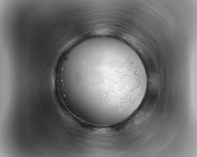 X0000093440446200710261043