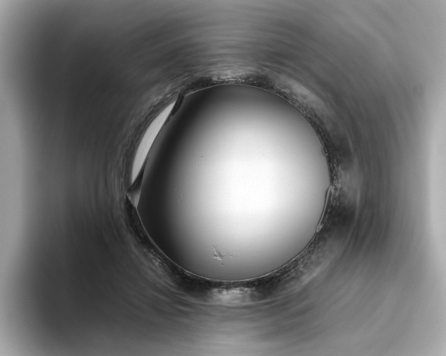 X0000093440452200710261043