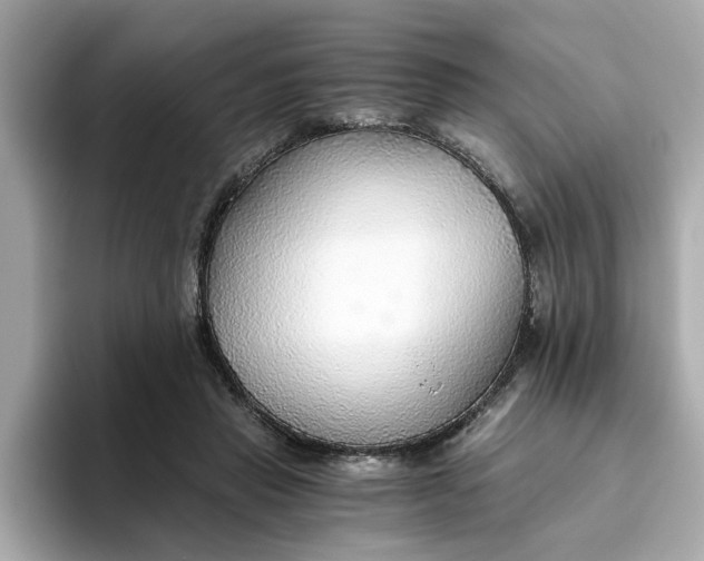 X0000093440453200710261043