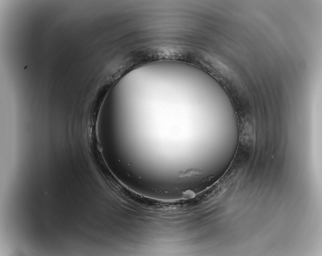 X0000093440456200710261043