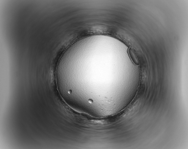 X0000093440457200710261044