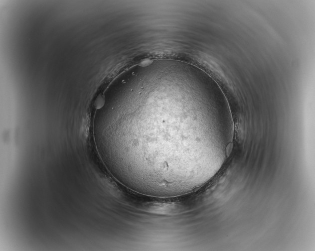 X0000093440458200710261044