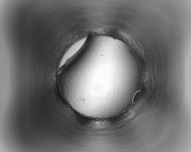 X0000093440466200710261044