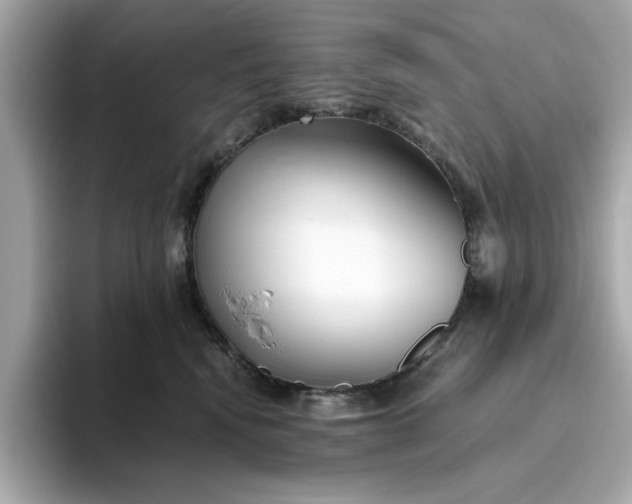 X0000093440472200710261044