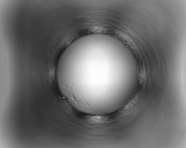 X0000093440473200710261044