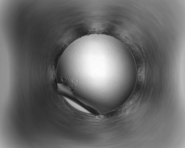 X0000093440474200710261044