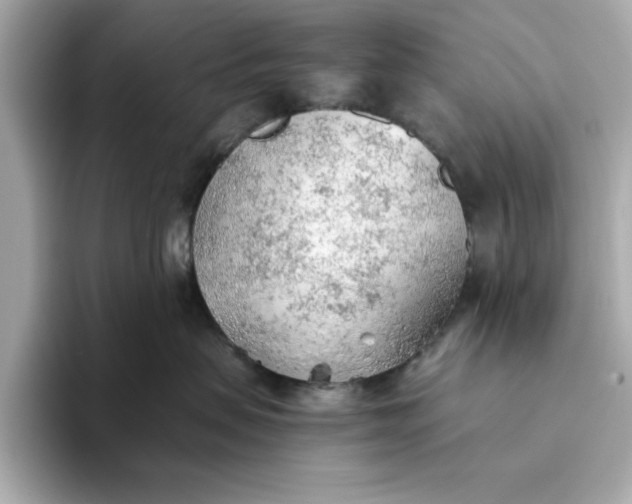 X0000093440479200710261044