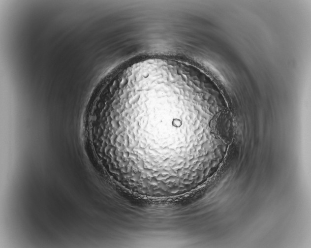 X0000093440487200710261043