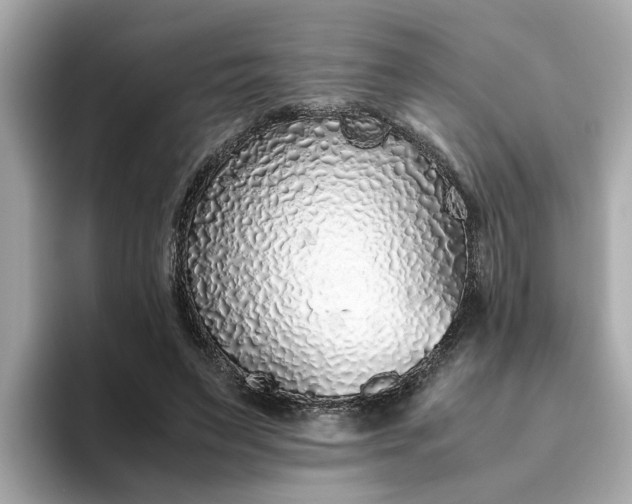 X0000093440495200710261043