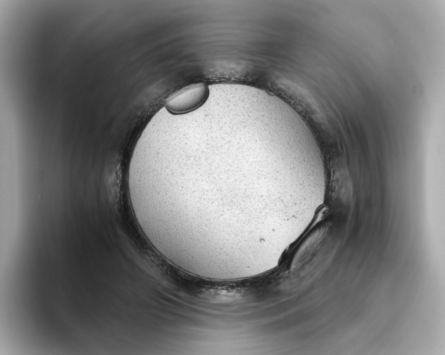 X0000093440498200710261043