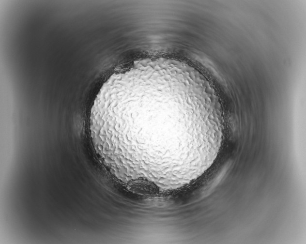 X0000093440499200710261043