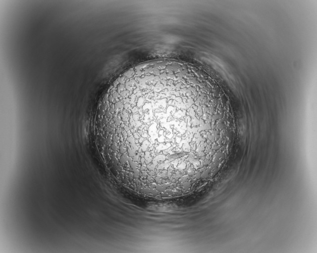 X0000093440503200710261043