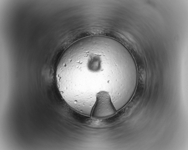 X0000093440507200710261043