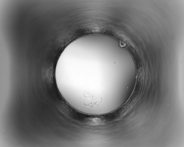 X0000093440509200710261043