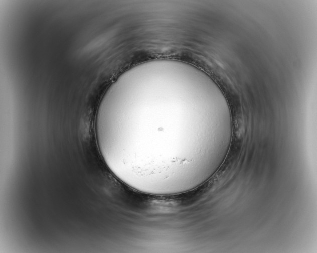 X0000093440515200710261043