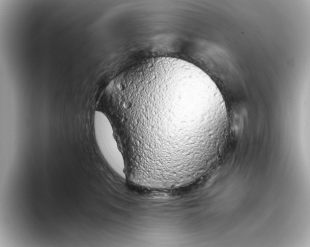 X0000093440519200710261043