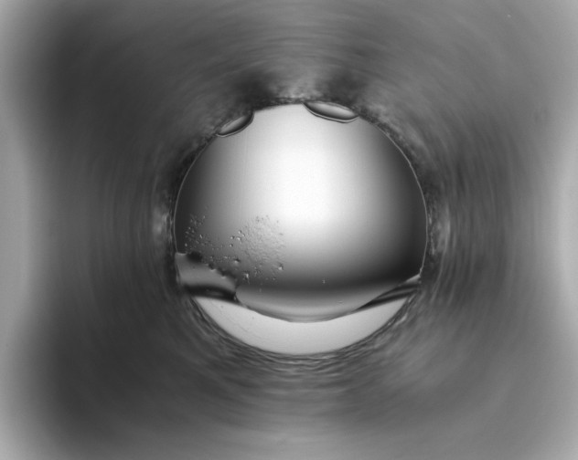 X0000093440521200710261043