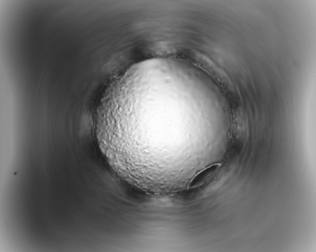 X0000093440523200710261043