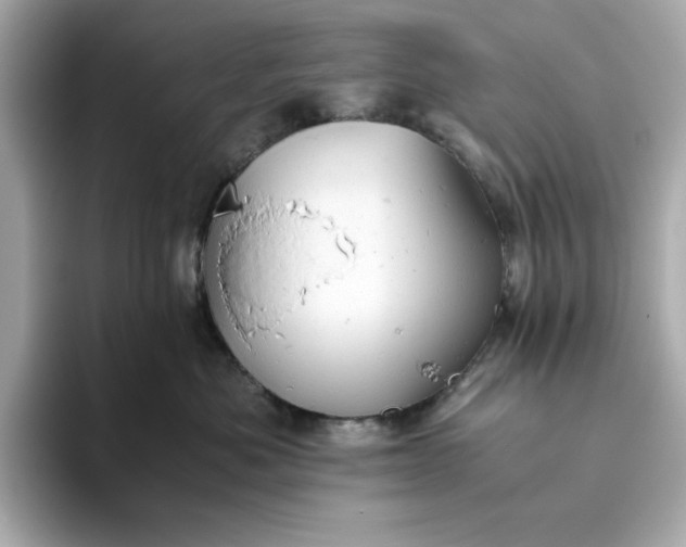 X0000093440525200710261043