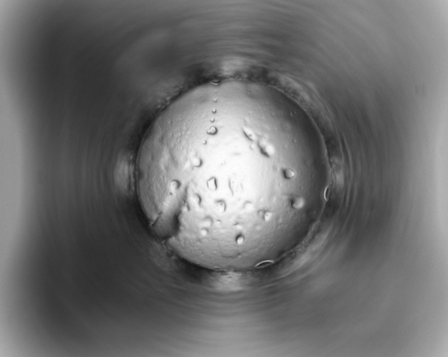 X0000093440527200710261043