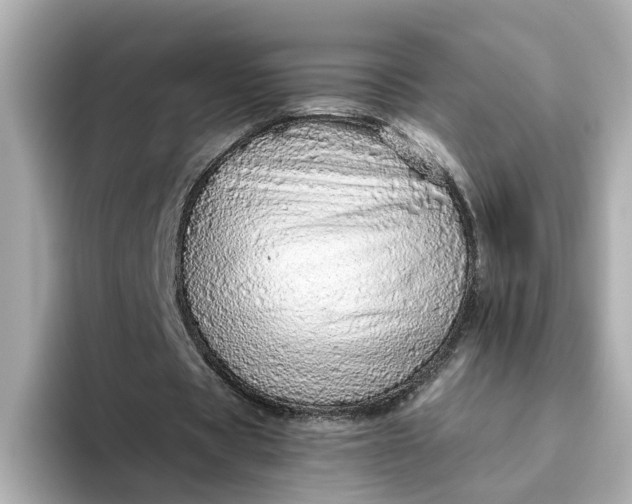 X0000093440529200710261042