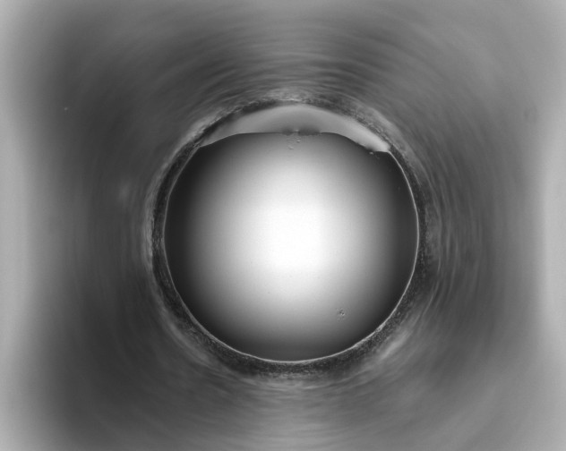 X0000093440530200710261042