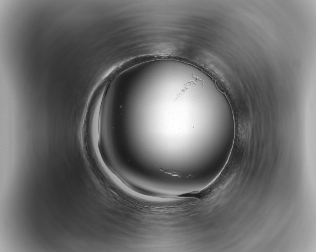 X0000093440532200710261042