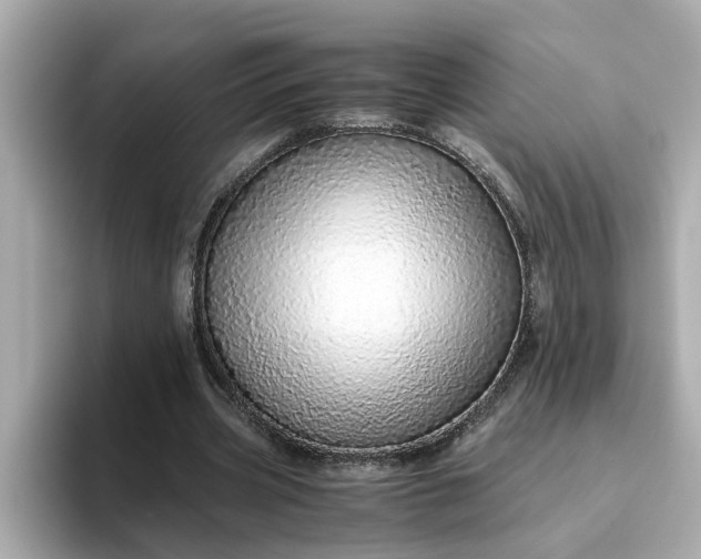 X0000093440533200710261042