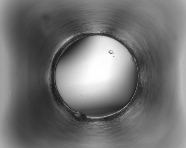 X0000093440536200710261042