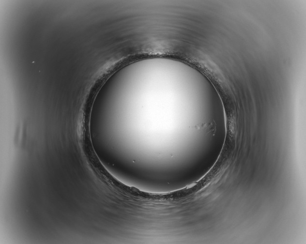 X0000093440540200710261042