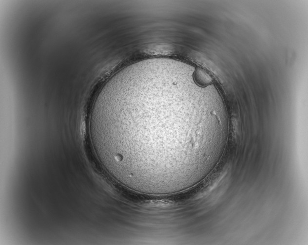 X0000093440541200710261042