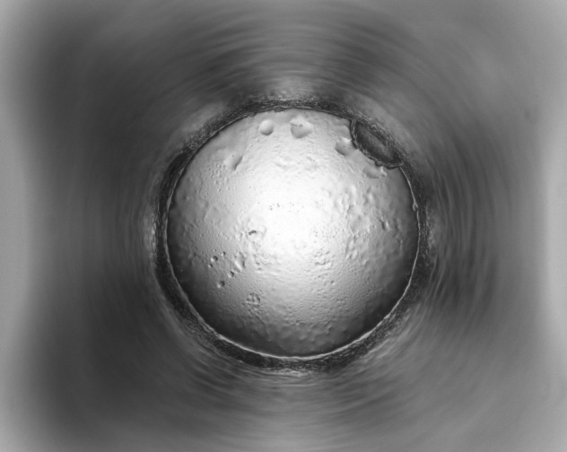 X0000093440542200710261042